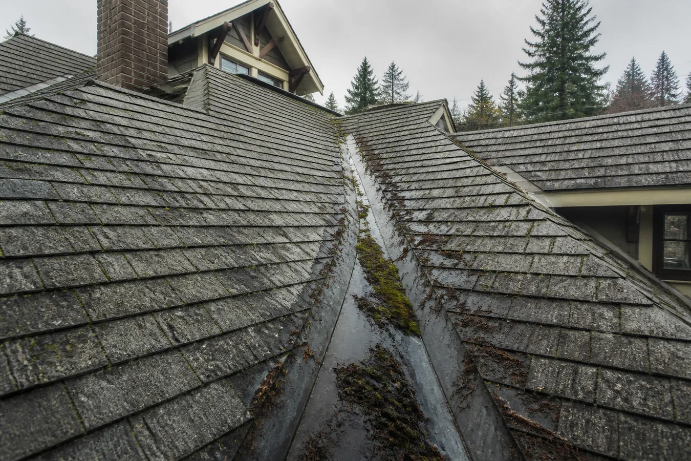 Illustrated metal roof valley with debris and moss.